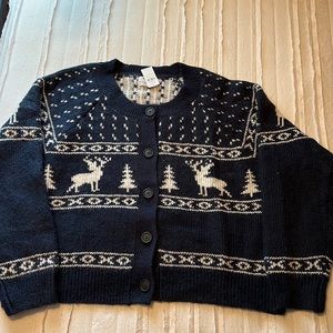 Winter Sweater (cardigan)